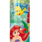 Ariel Princess, Mermaid 20oz Stainless Steel Tumbler